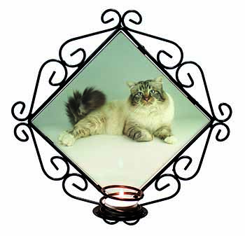 Tabby Birman Cat Wrought Iron Wall Art Candle Holder