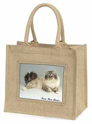 Tabby Birman Cat 