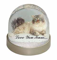 Tabby Birman Cat 