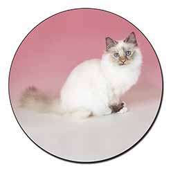 Tortie Birman Cat Fridge Magnet Printed Full Colour