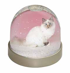 Tortie Birman Cat Snow Globe Photo Waterball