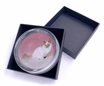 Tortie Birman Cat Glass Paperweight in Gift Box