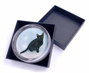 Black Bombay Cat Glass Paperweight in Gift Box