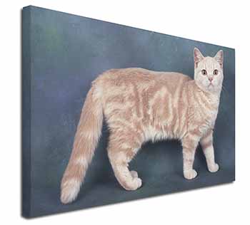 British Shorthair Ginger Cat Canvas X-Large 30"x20" Wall Art Print