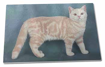 Large Glass Cutting Chopping Board British Shorthair Ginger Cat