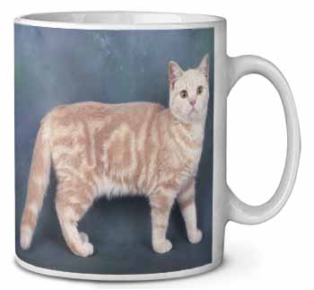 British Shorthair Ginger Cat Ceramic Coffee Mug/Tea Cup