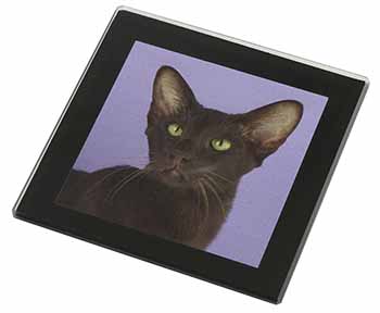 Chocolate Havana Cat Black Rim High Quality Glass Coaster