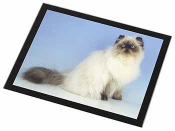 Himalayan Cat Black Rim High Quality Glass Placemat