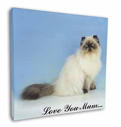 Himalayan Cat 