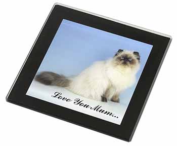 Himalayan Cat 