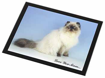 Himalayan Cat 