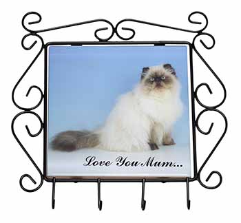 Himalayan Cat 