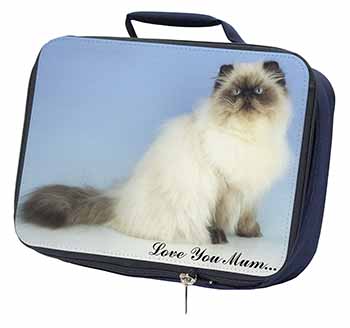 Himalayan Cat 