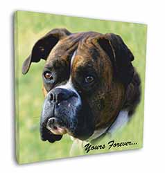 Brindle and White Boxer Dog "Yours Forever..." Square Canvas 12"x12" Wall Art Pi