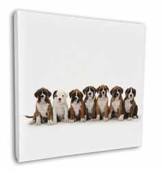 Boxer Dog Puppies Square Canvas 12"x12" Wall Art Picture Print