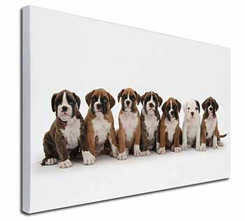 Boxer Dog Puppies Canvas X-Large 30"x20" Wall Art Print