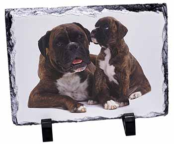 Boxer Dog Puppy, Stunning Photo Slate