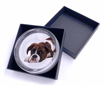 Boxer Dog Glass Paperweight in Gift Box