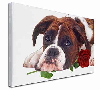 Boxer Dog with Red Rose Canvas X-Large 30"x20" Wall Art Print