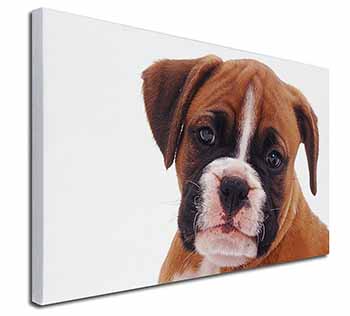 Red and White Boxer Puppy Canvas X-Large 30"x20" Wall Art Print