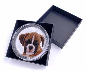 Red and White Boxer Puppy Glass Paperweight in Gift Box