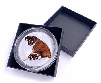 Boxer Dog with Puppy Glass Paperweight in Gift Box