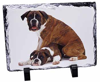 Boxer Dog with Puppy, Stunning Photo Slate