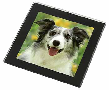 Blue Merle Border Collie Black Rim High Quality Glass Coaster