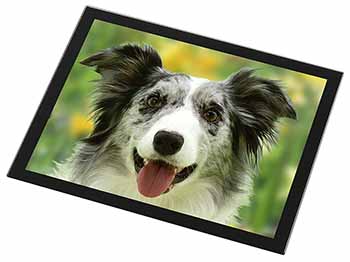 Blue Merle Border Collie Black Rim High Quality Glass Placemat