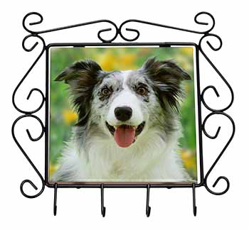 Blue Merle Border Collie Wrought Iron Key Holder Hooks