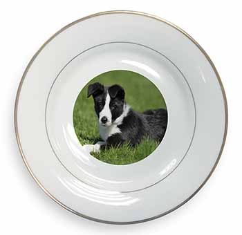 Border Collie Dog Gold Rim Plate Printed Full Colour in Gift Box