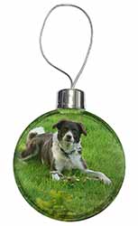 Liver and white Border Collie Dog Christmas Bauble