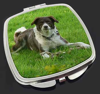 Liver and white Border Collie Dog Make-Up Compact Mirror