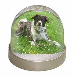 Liver and white Border Collie Dog Snow Globe Photo Waterball