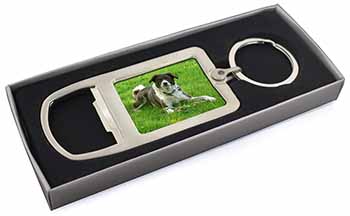 Liver and white Border Collie Dog Chrome Metal Bottle Opener Keyring in Box