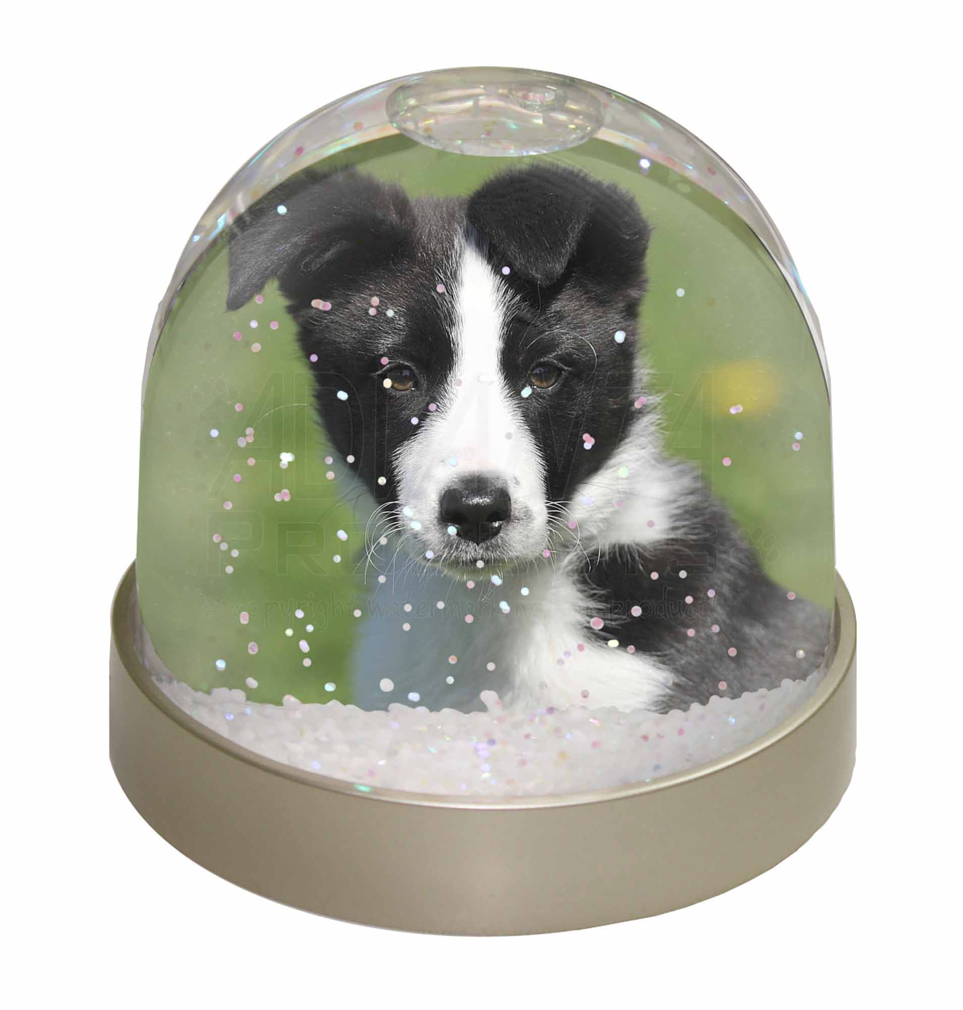 Border Collie Puppy Photo Snow Globe Waterball Stocking Filler Gift, AD