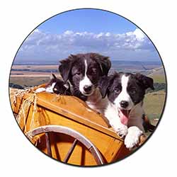 Border Collie Puppies Fridge Magnet Printed Full Colour