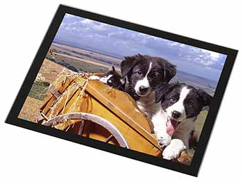 Border Collie Puppies Black Rim High Quality Glass Placemat