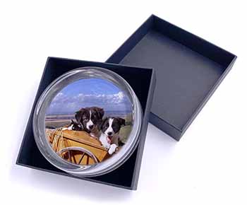 Border Collie Puppies Glass Paperweight in Gift Box