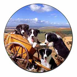 Border Collie Fridge Magnet Printed Full Colour