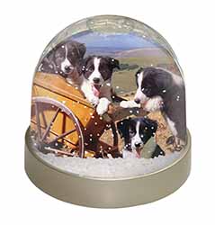 Border Collie Snow Globe Photo Waterball