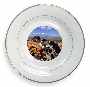 Border Collie Gold Rim Plate Printed Full Colour in Gift Box