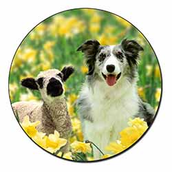 Border Collie Dog and Lamb Fridge Magnet Printed Full Colour