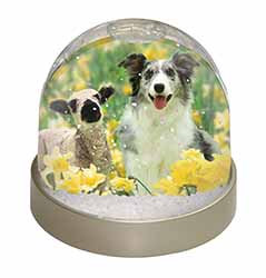 Border Collie Dog and Lamb Snow Globe Photo Waterball