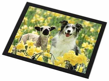 Border Collie Dog and Lamb Black Rim High Quality Glass Placemat