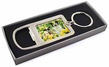 Border Collie Dog and Lamb Chrome Metal Bottle Opener Keyring in Box