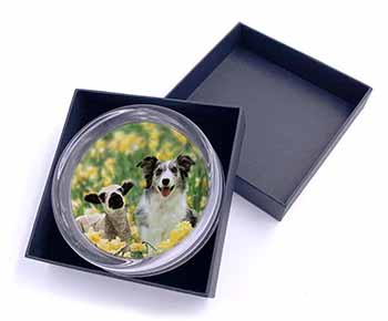 Border Collie Dog and Lamb Glass Paperweight in Gift Box