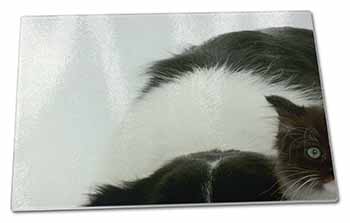 Large Glass Cutting Chopping Board Border Collie and Kitten