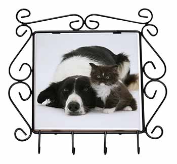 Border Collie and Kitten Wrought Iron Key Holder Hooks