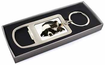 Border Collie and Kitten Chrome Metal Bottle Opener Keyring in Box